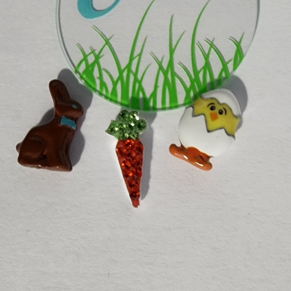 SOLD Origami Owl Easter Spring Set - Easter Plate & Hop To It Charm Set - Picture 5 of 5